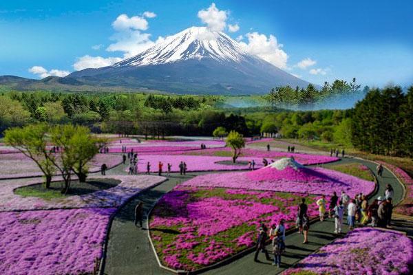 7 สถานที่ท่องเที่ยว รอบภูเขาไฟฟูจิ ไม่ต้องขอวีซ่า ไม่ต้องกักตัว ประเทศญี่ปุ่น 1