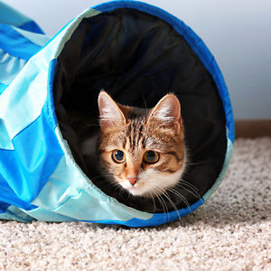 cat toy tunnel