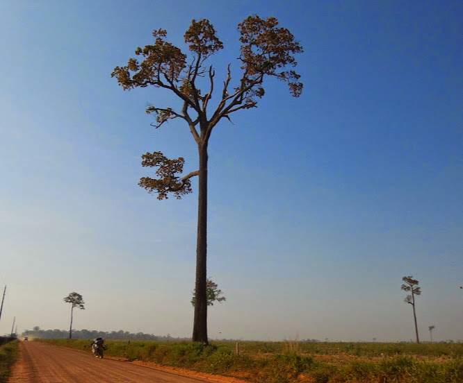 Brasil - Rota das Fronteiras  / Uma Saga pela Amazônia - Página 2 X1YEj38FjfaW5RcnQp-xCGfx8LYusbJihig7u9IeUhZJ=w666-h553-no