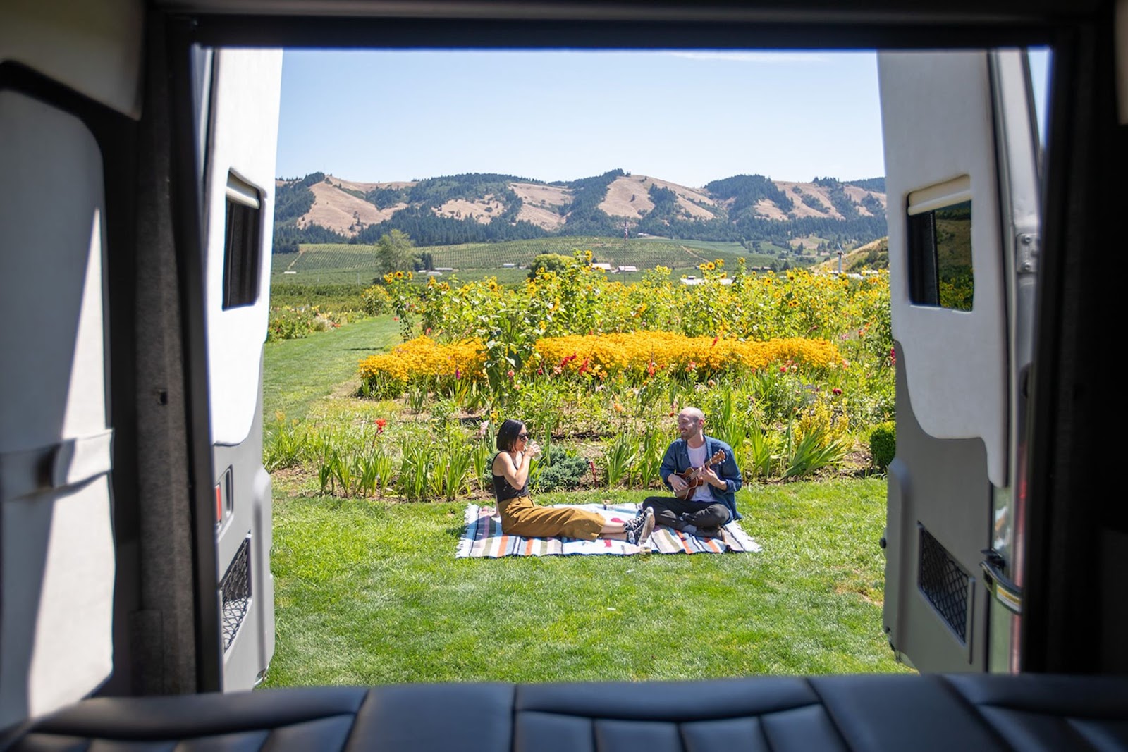 Harvest Host campervanning at a vineyard