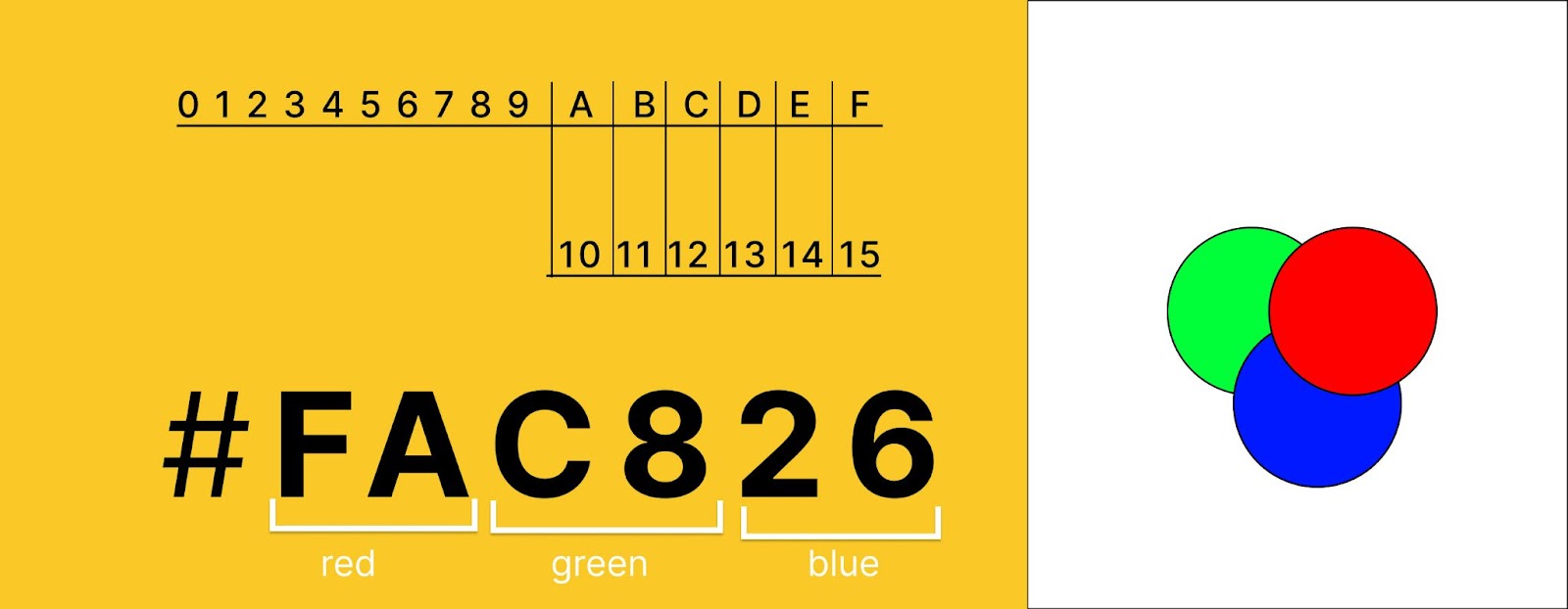 How to Generate Random Colours in JavaScript
