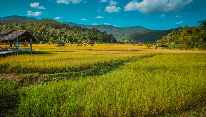 Top 10 Most Beautiful Village In Thailand