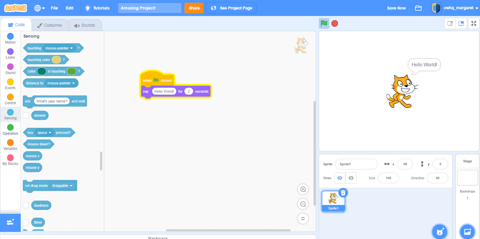 Scratch interface and code blocks