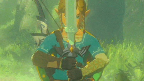 The Legend Of Zelda Breath Of The Wild GIF - The Legend Of Zelda Breath Of The Wild Legend Of Zelda Breath Of The Wild The Legend Of Zelda GIFs