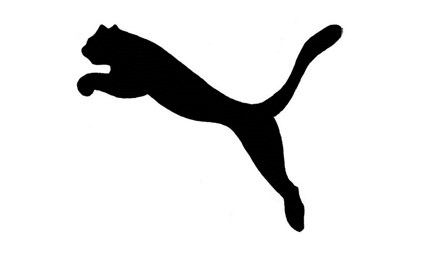 Image result for puma drawing