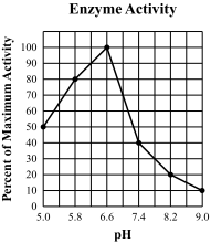 Enzymes and metabolism graphing worksheet answers