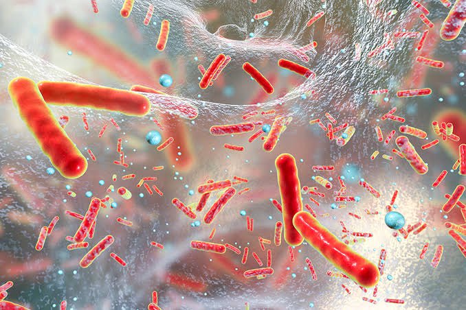 Chất gây sốt có thể đến từ các vi sinh vật như vi khuẩn, virus