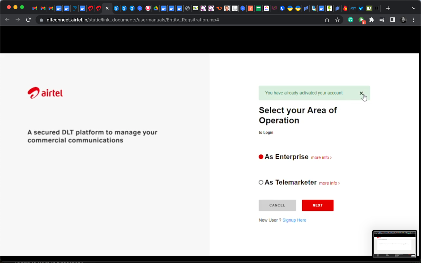 A DLT portal page after a confirmed registration for activated business accounts | SMScountry