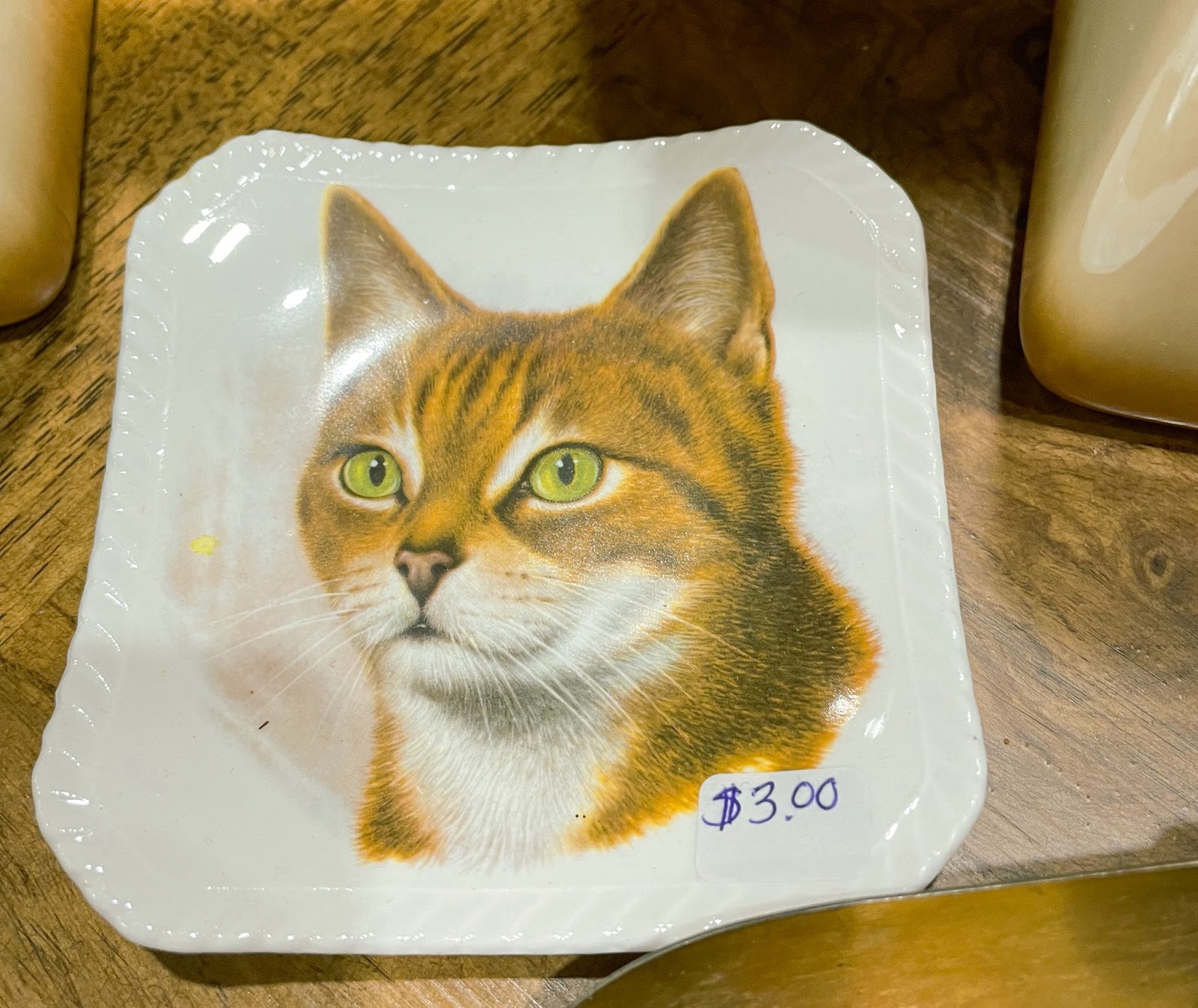 A ceramic cat plate