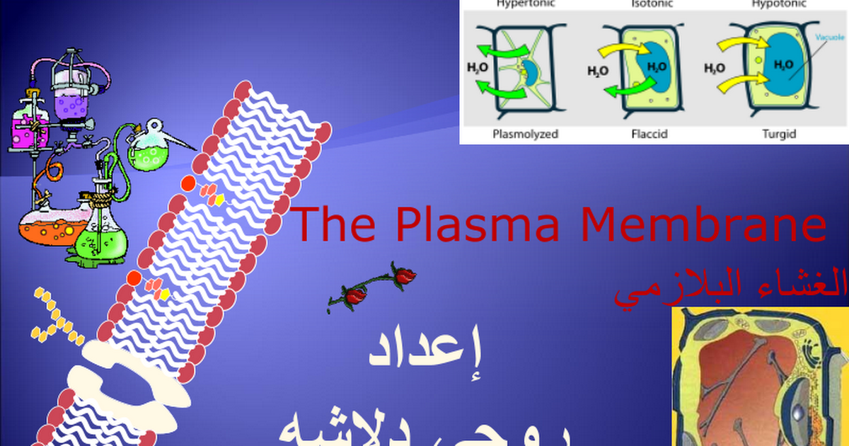 عملية البلازمي هي المواد الغشاء انتقال الانتشار عبر طرق النقل
