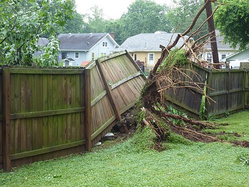fence-damage-41.jpg