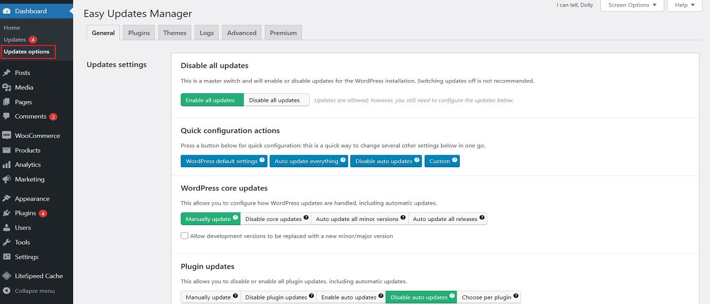 Settings in the easy updates manager plugin.