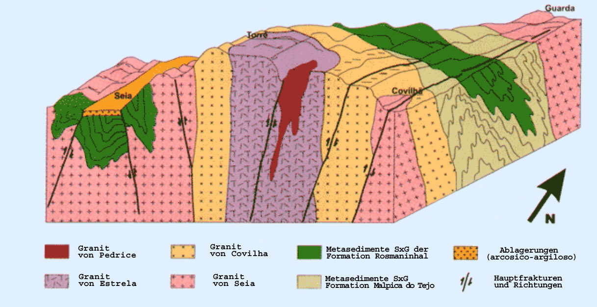 Blockdiagramm copy.jpg