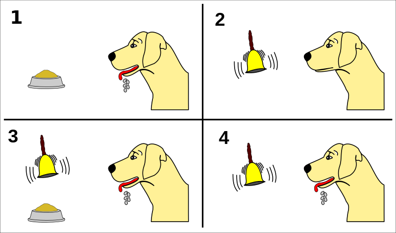 Resultado de imagem para pavlov experimento"