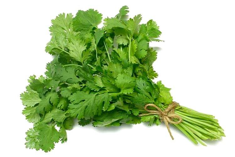 Organic Cilantro - Tu Super To Go