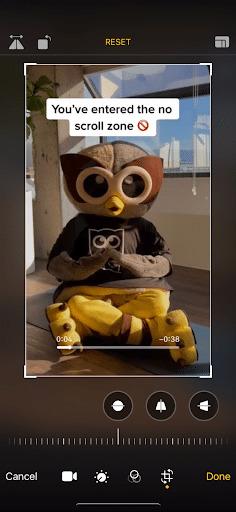 crop video hide watermark 