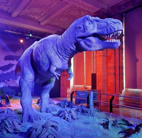 Natural history Museum