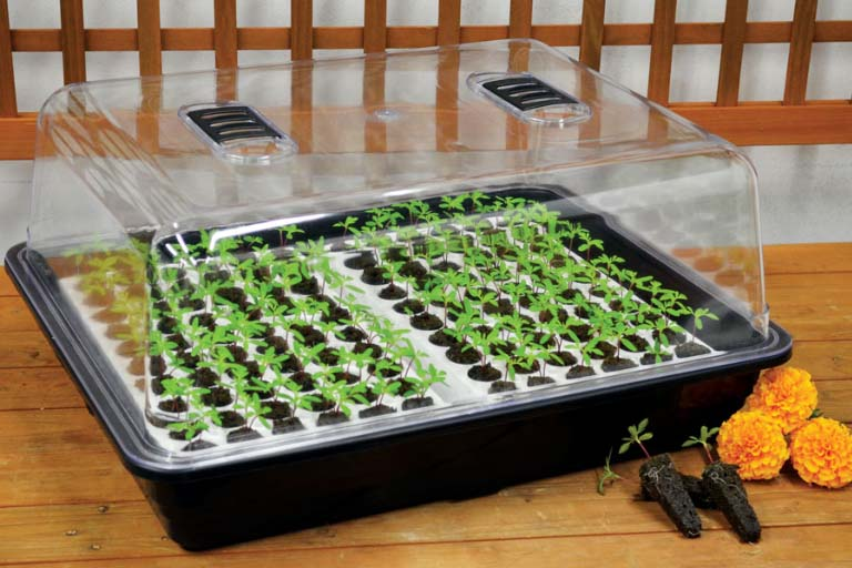 How to Use a Humidity Dome