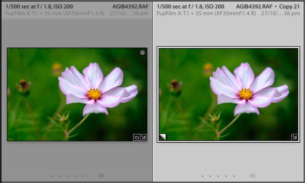 cópias virtuais no Lightroom