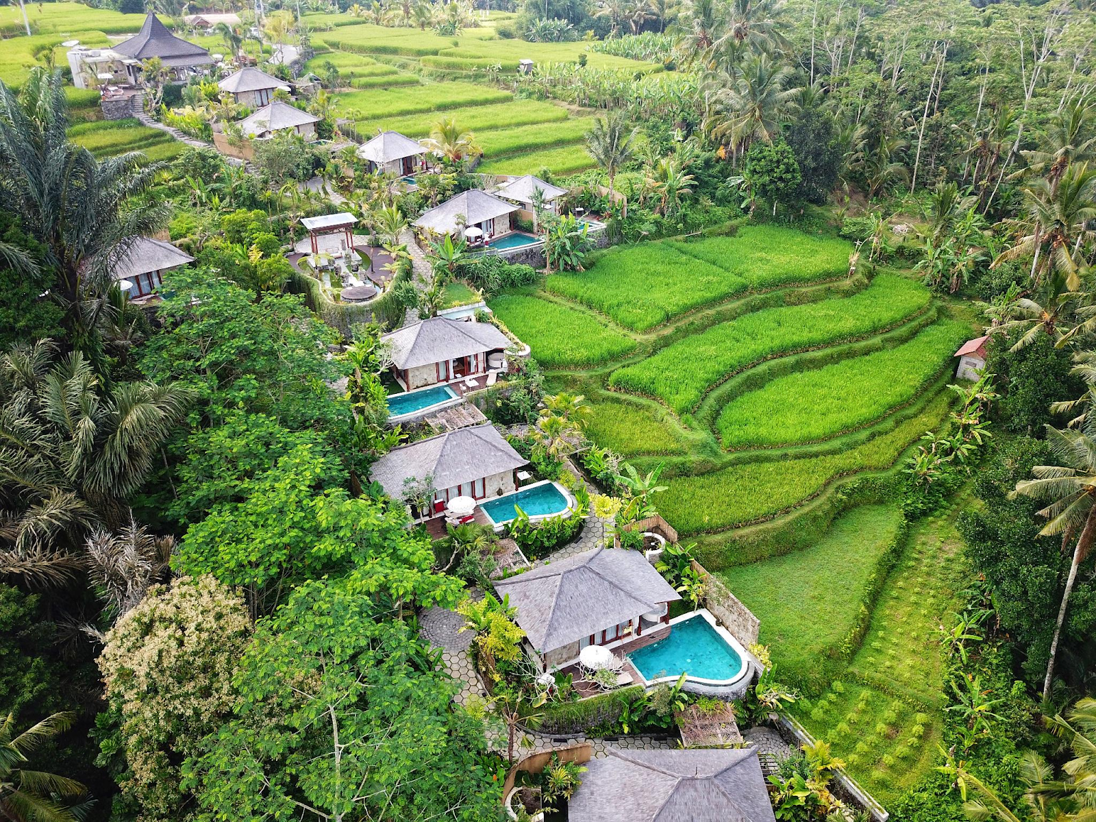 Hospitality design in a post COVID-19 world with single villas at the Nau Villa Ubud in Bali