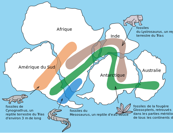 Fichier: Snider-Pellegrini Wegener fossile map fr.svg