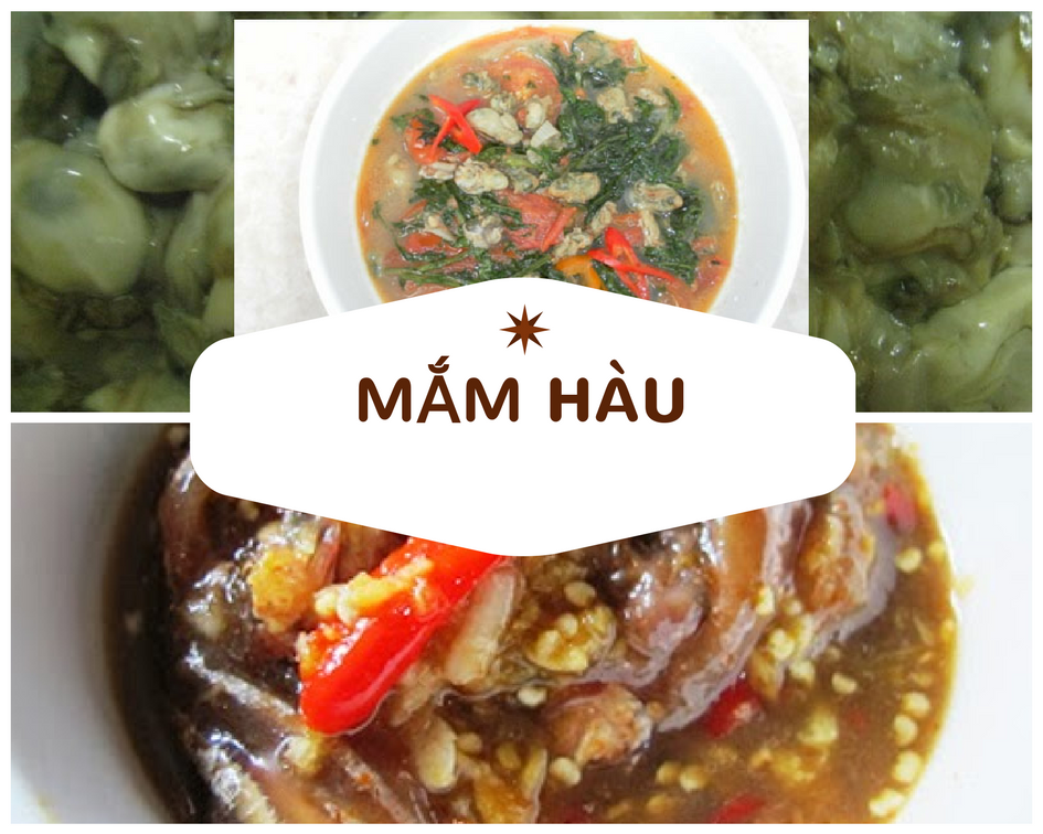 Image result for mắm con hàu côn đảo