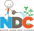 nddc.jpg