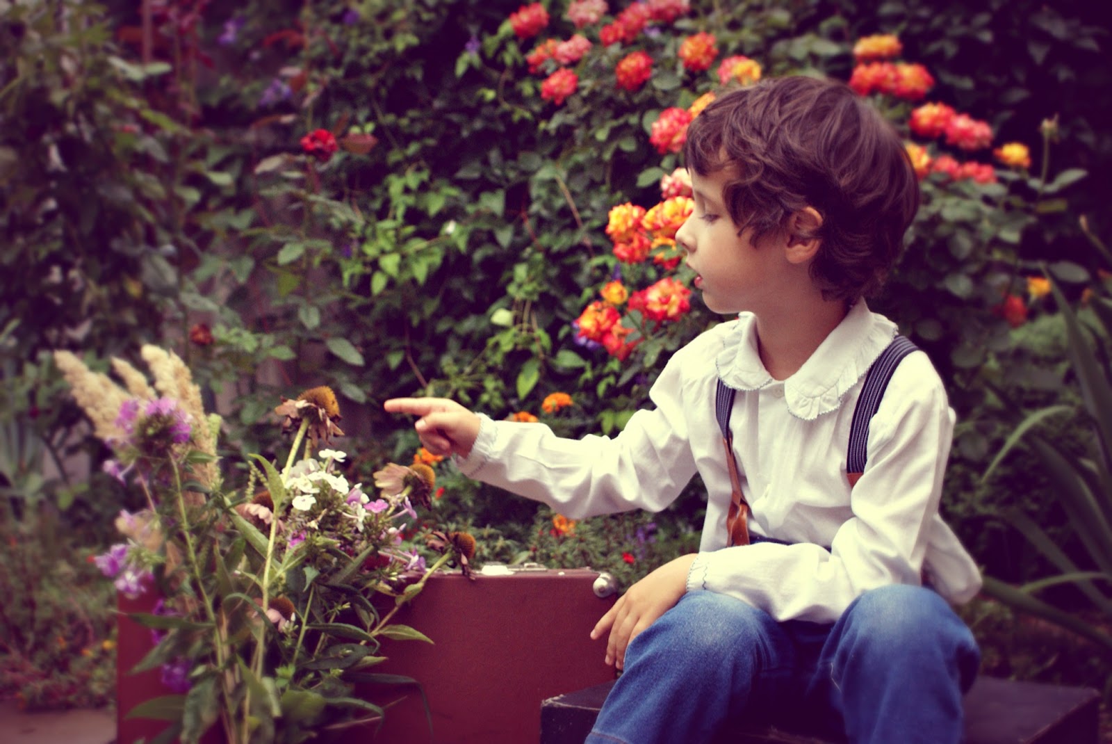 Young child counting flowers in a garden