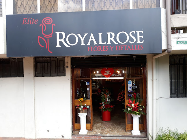 Elite RoyalRose - Quito