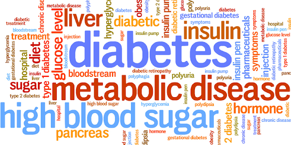 Diabetes Freedom Review