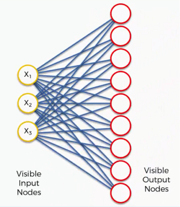 visible input nodes