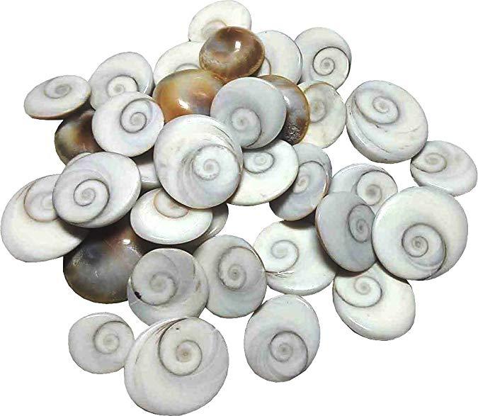 Image result for gomti chakras