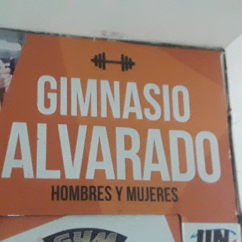Gimnasio Alvarado - Gimnasio