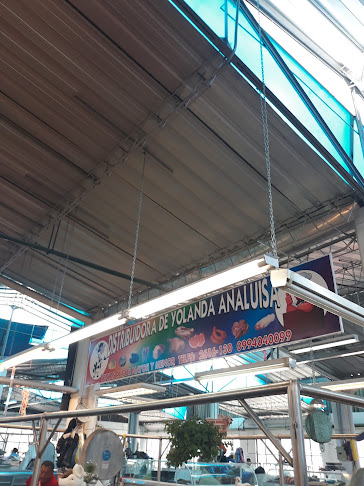 Distribuidora De Yolanda Analusia