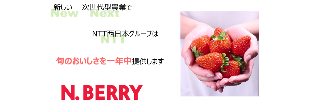 植物工場を扱うN.BERRYの画像