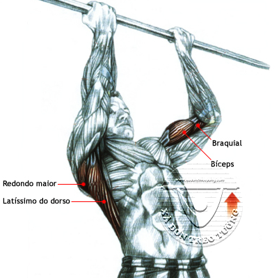 Luyện tập với gậy xà đơn giúp tác động lên nhiều nhóm cơ bắp khác nhau