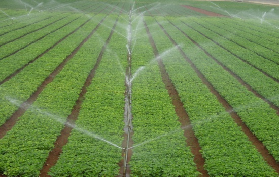 Reduce water wastage with Crop health monitoring