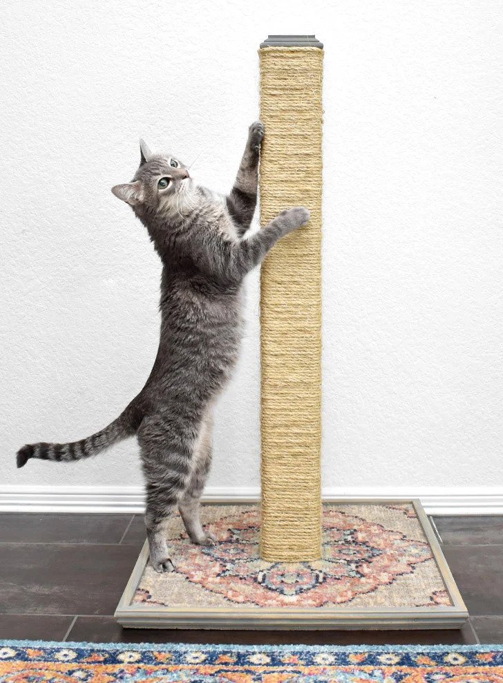 Scratching Pole For Cats DIY