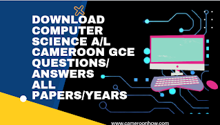 Cameroon GCE computer science  A level past question and answer