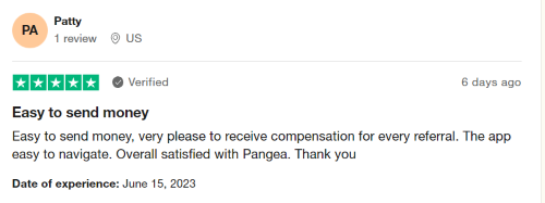 A positive Pangea Money Transfer review from a user who finds the app easy to navigate. 
