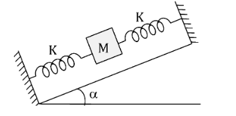 Shift 2 Feb 24 JEE Main 2021 Physics Papers With Solutions