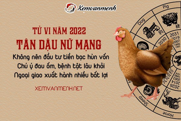 tu-vi-tuoi-tan-dau-nam-2022-nu-mang-1981
