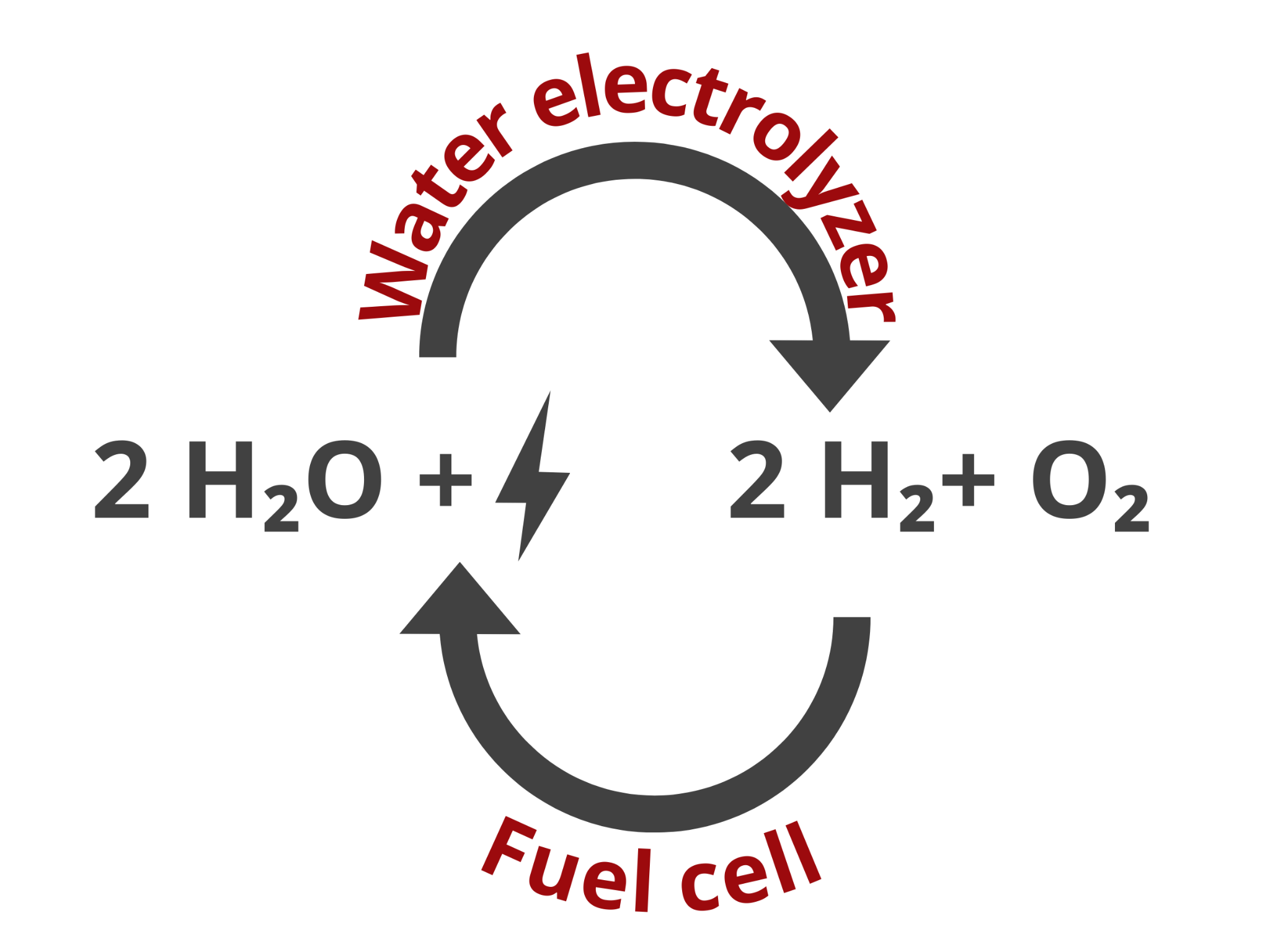 Water Electrolyzer and Fuel Cell Reactions