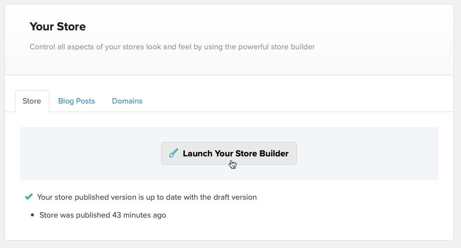 How to launch the store builder