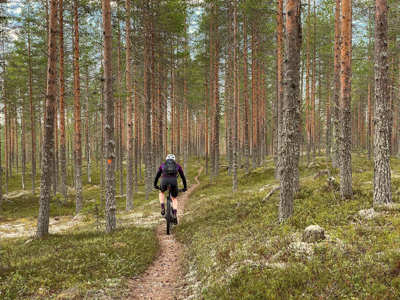 mountain biking Finland