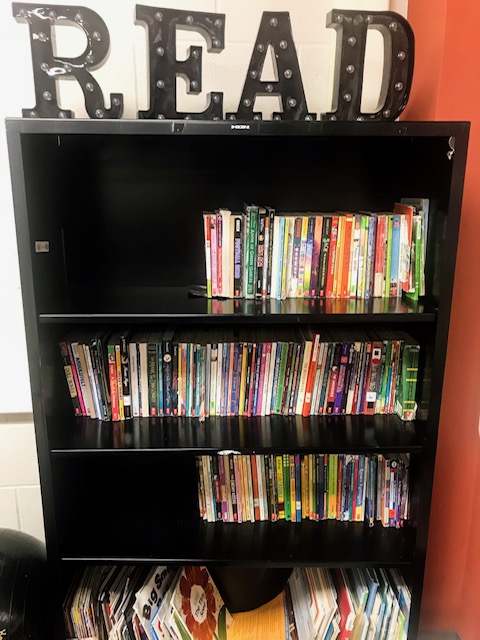 book shelf with fourth grade books