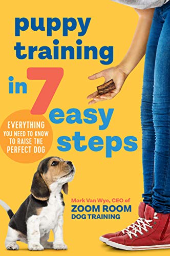 Entrenamiento de cachorros en 7 sencillos pasos: todo lo que necesitas saber para criar al perro perfecto