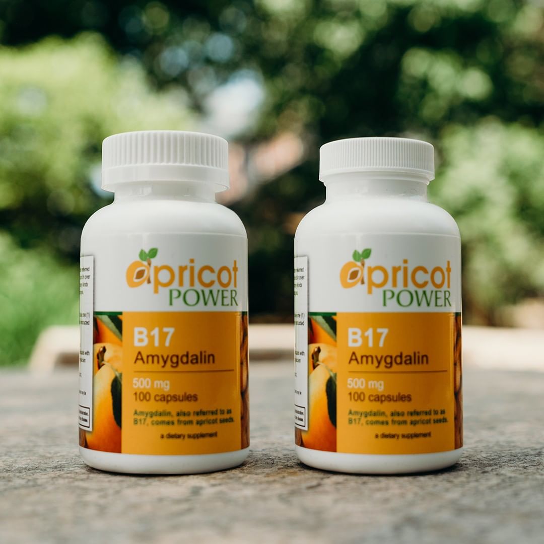 10 Amazing Sources Of Vitamin B17 Amygdalin Apricot Power