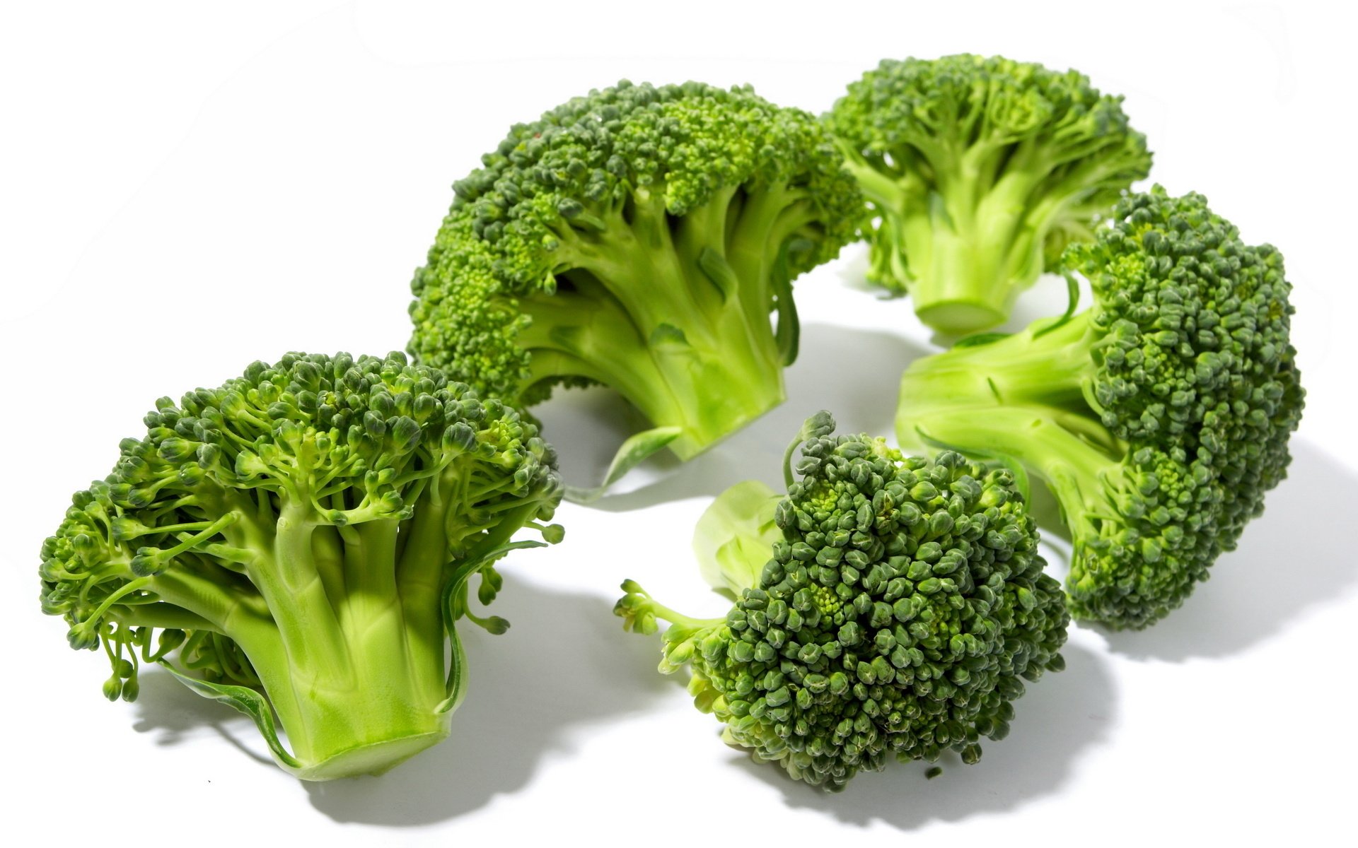 Broccoli 