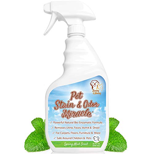 Pet Stain & Odor Miracle - Limpiador enzimático